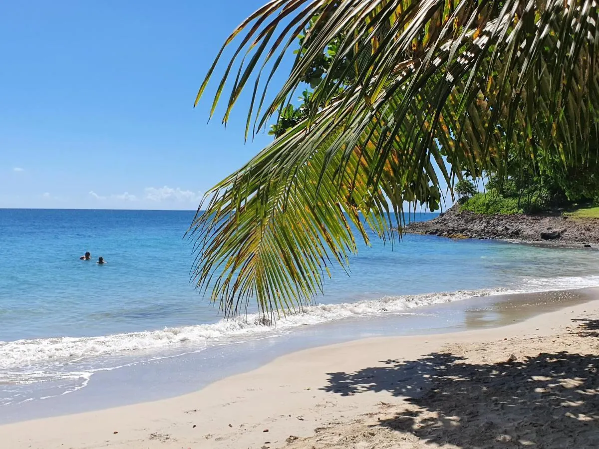 Appartement Ti Oasis Trinidad, Studio Vue Mer A Pierre & Vacances Sainte-Luce Martinique