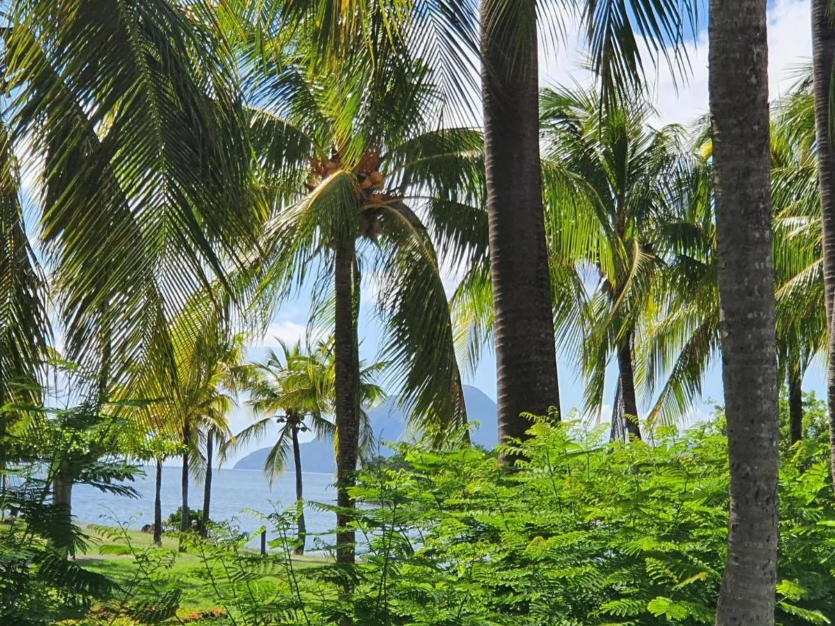 Ti Oasis Trinidad, Studio Vue Mer A Pierre & Vacances Sainte-Luce Appartement